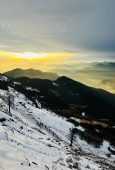 IIP Online Student Photography